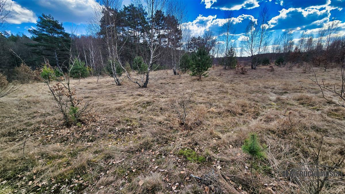 Sprzedaż Działka siedliskowa Starowice