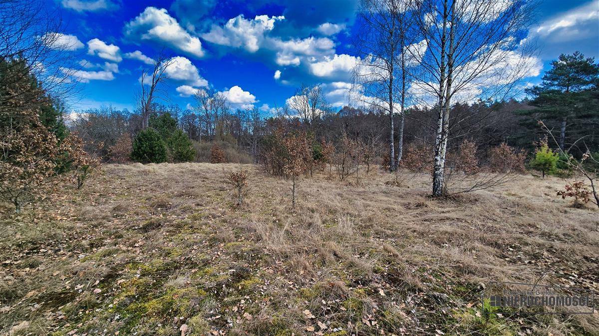 Sprzedaż Działka siedliskowa Starowice