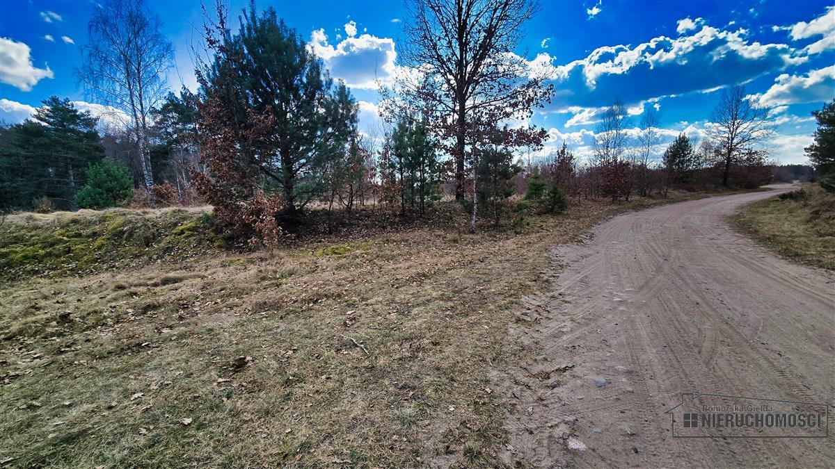 Sprzedaż Działka siedliskowa Starowice