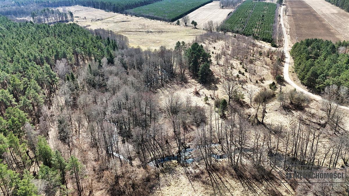 Sprzedaż Działka siedliskowa Starowice