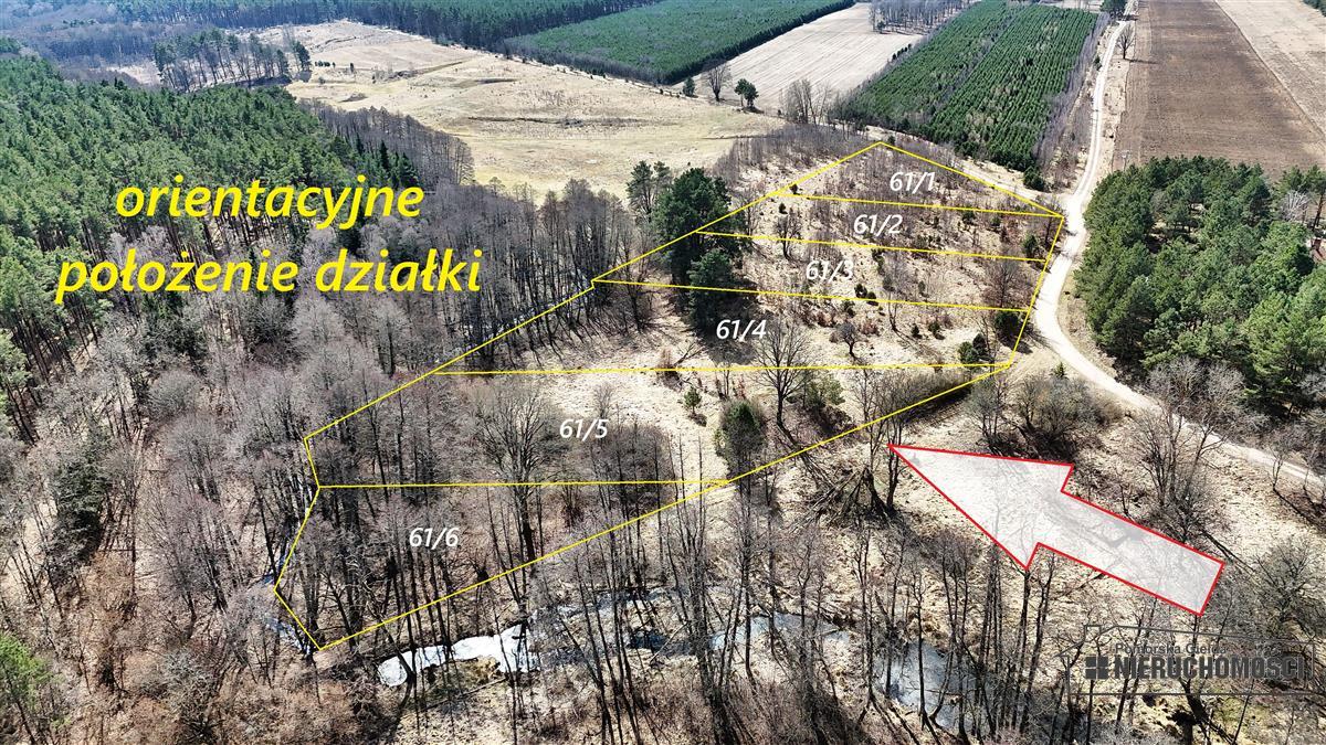 Sprzedaż Działka siedliskowa Starowice