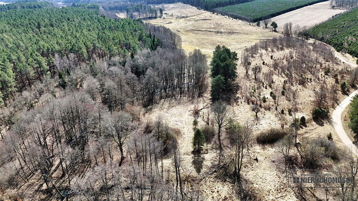 Sprzedaż Działka siedliskowa Starowice