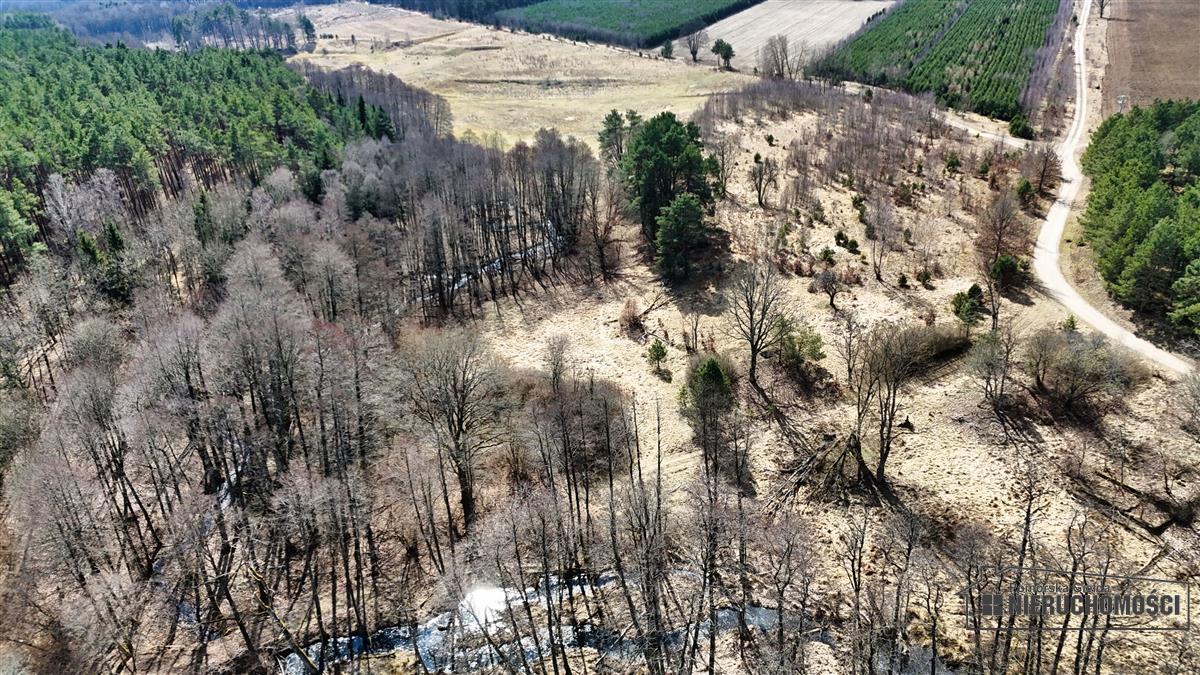 Sprzedaż Działka siedliskowa Starowice