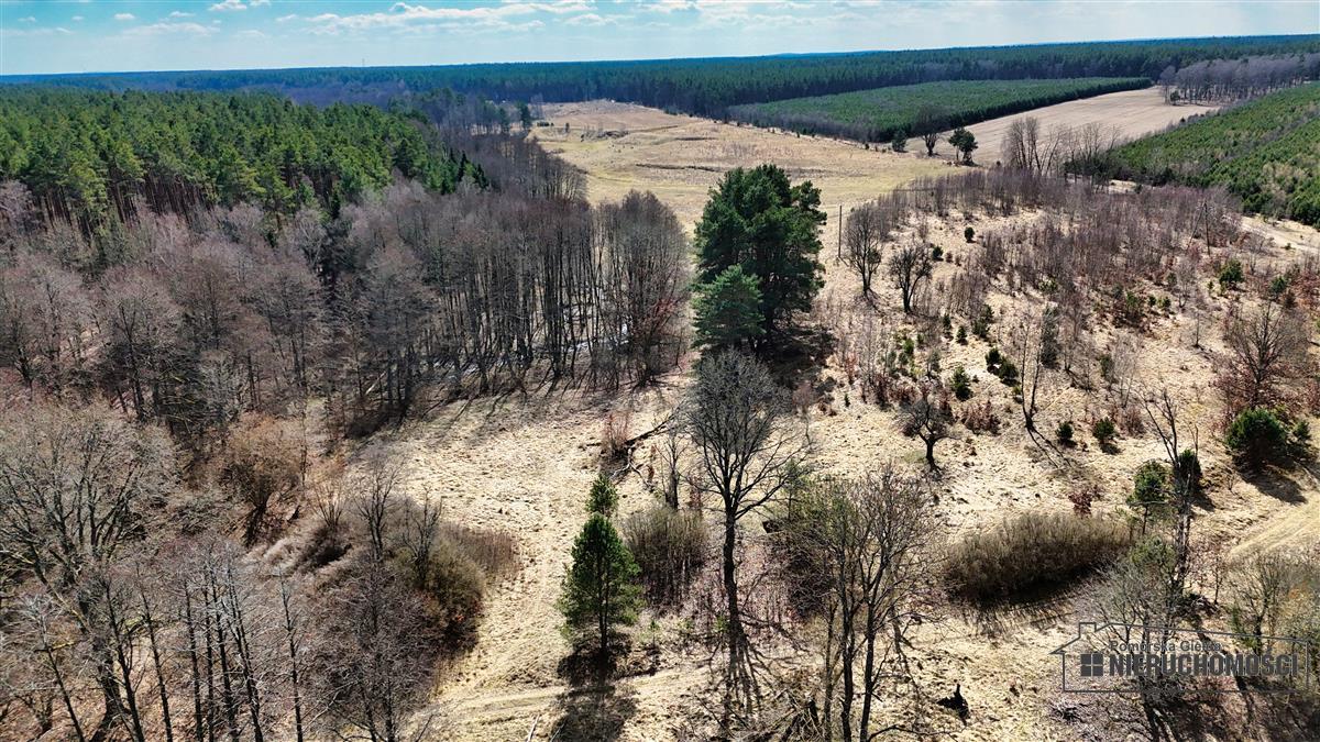 Sprzedaż Działka siedliskowa Starowice