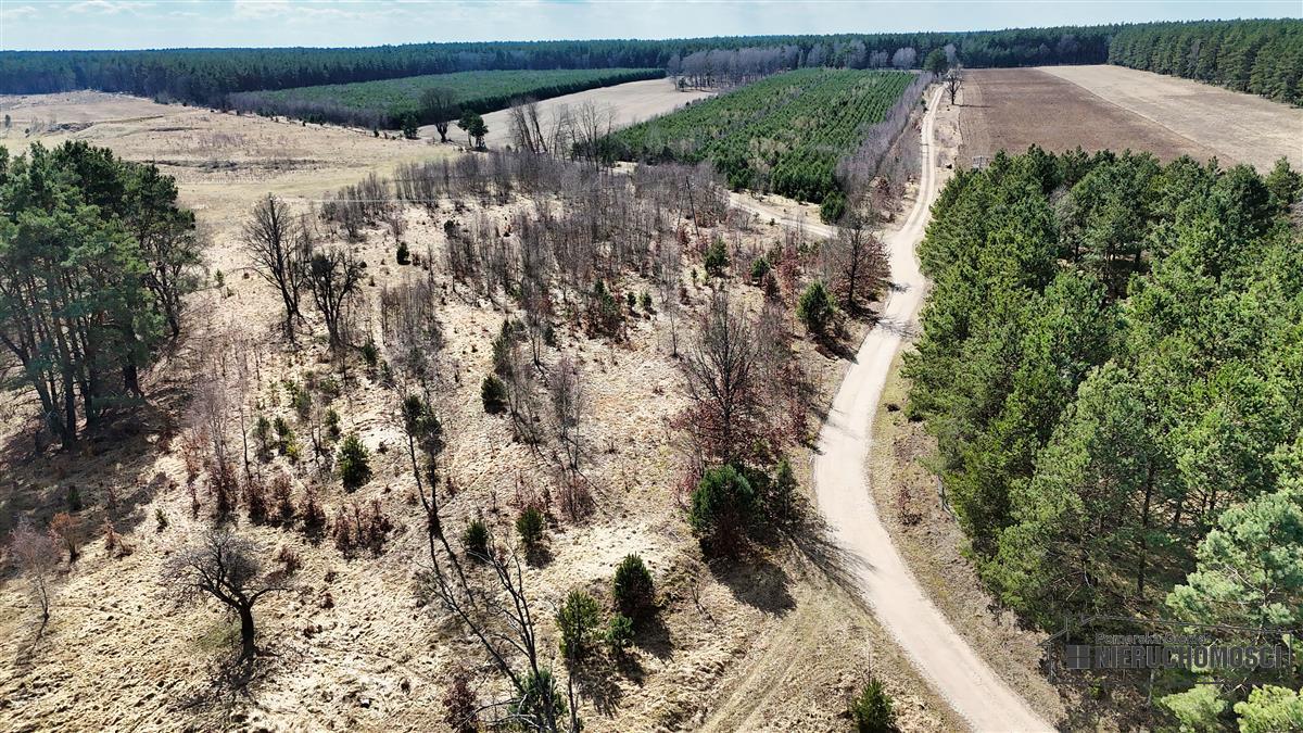 Sprzedaż Działka siedliskowa Starowice