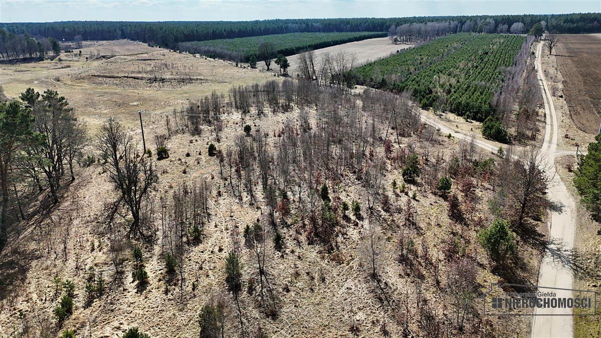 Sprzedaż Działka siedliskowa Starowice