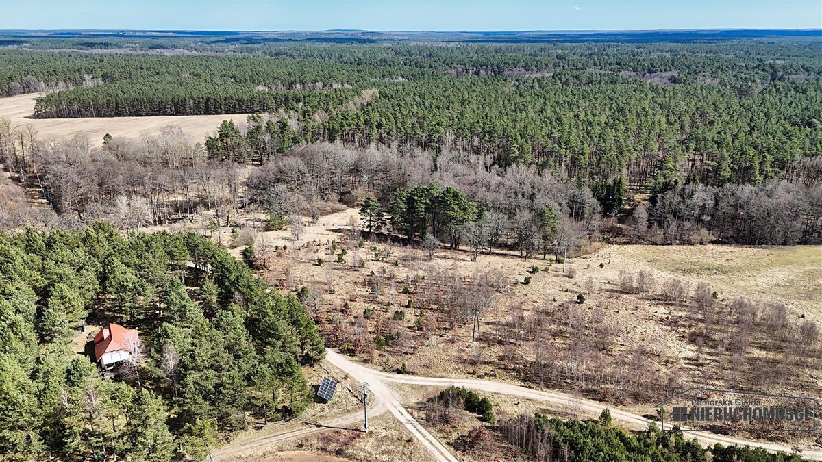 Sprzedaż Działka siedliskowa Starowice