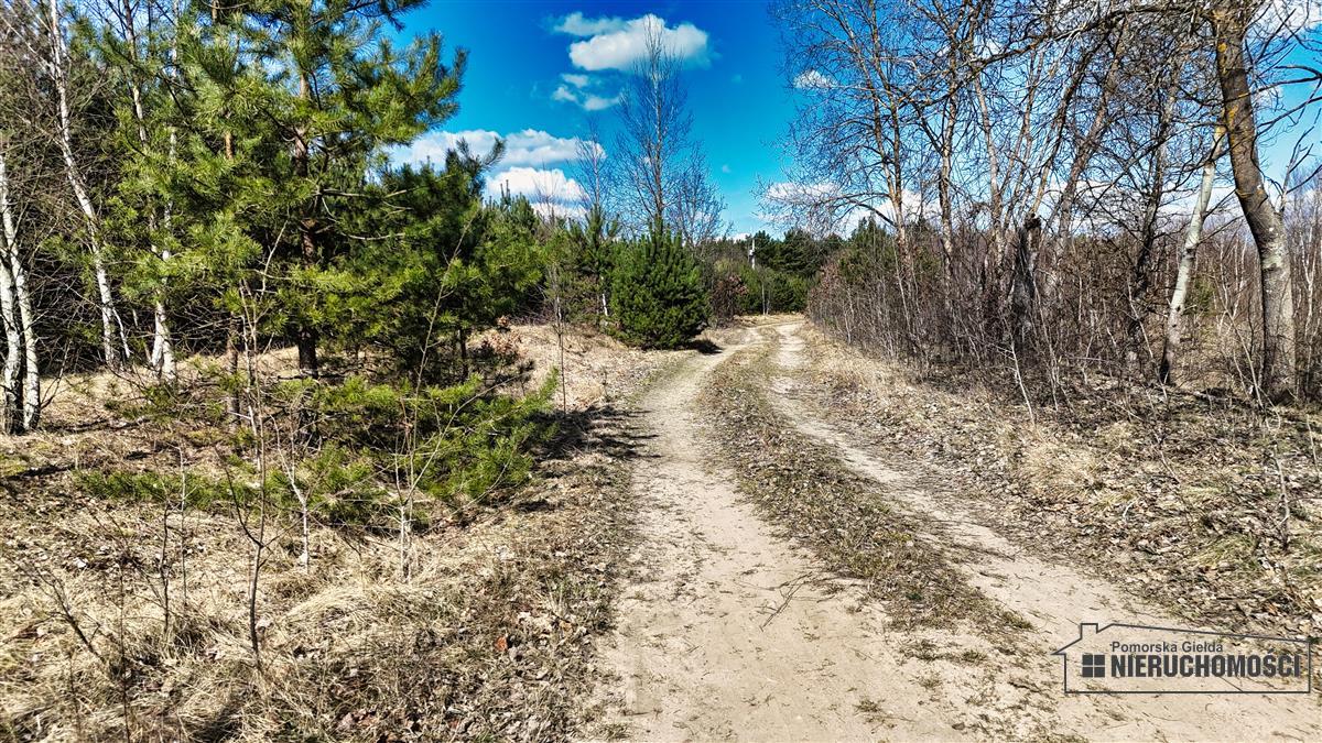 Sprzedaż Działka siedliskowa Starowice