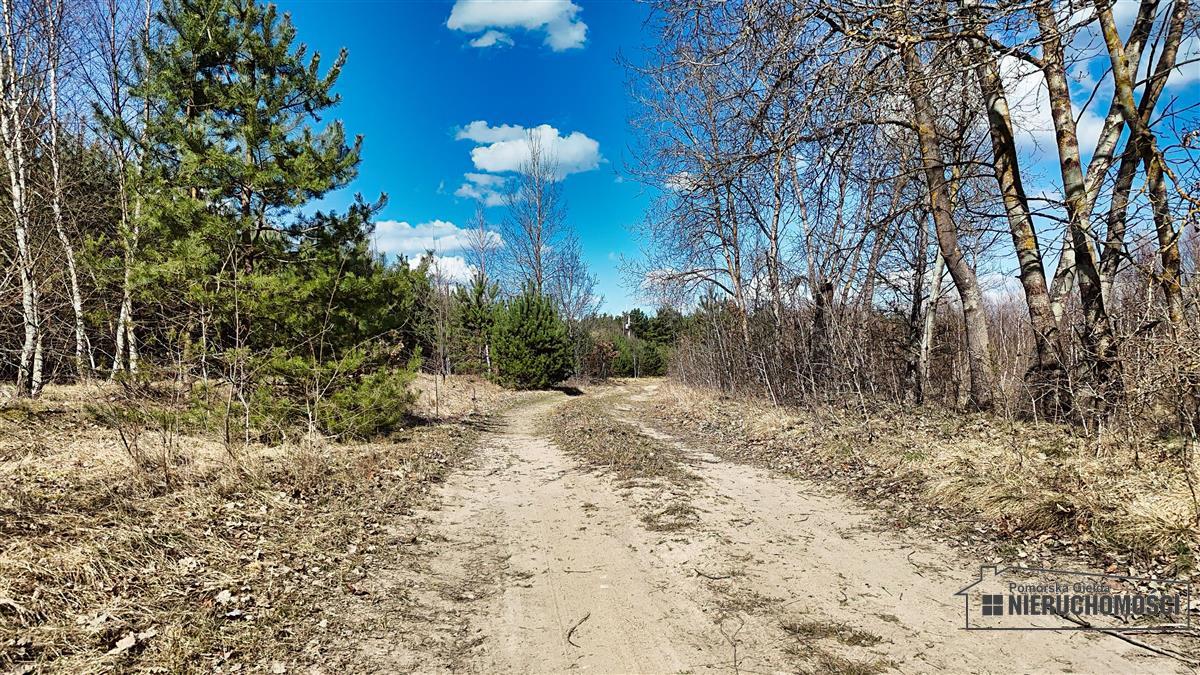 Sprzedaż Działka siedliskowa Starowice