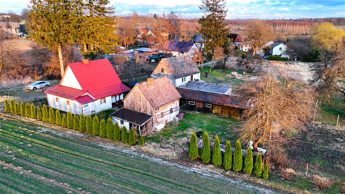Sprzedaż Dom wolnostojący Kurowo