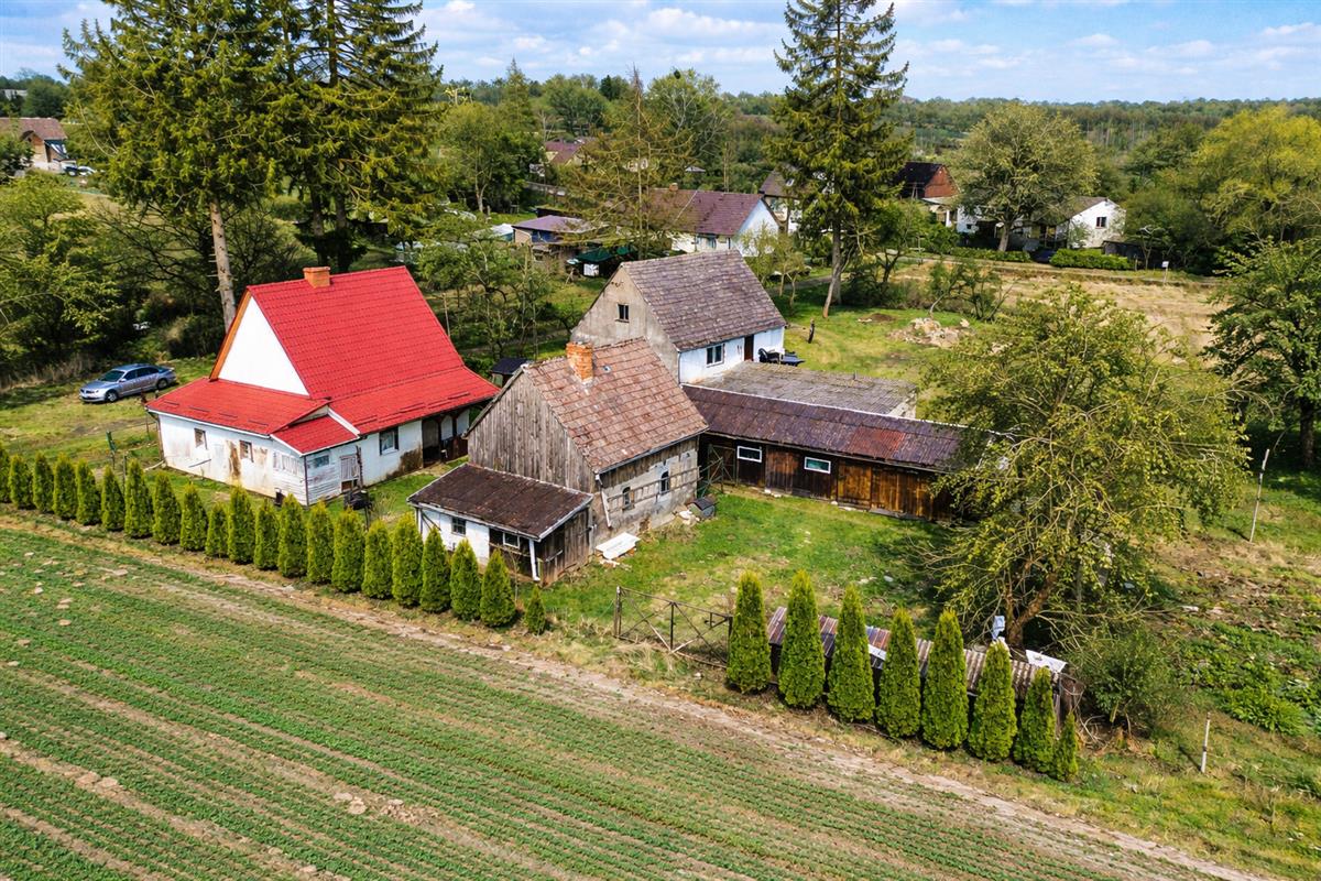 Sprzedaż Dom wolnostojący Kurowo