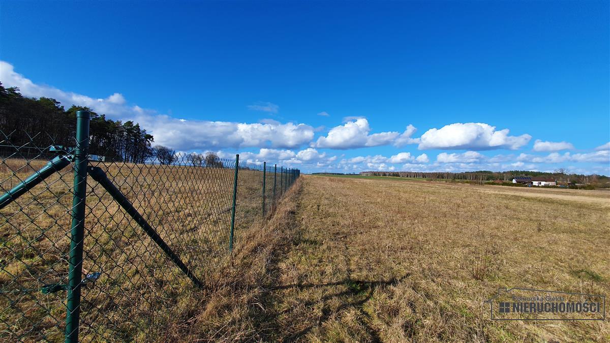 Sprzedaż Działka budowlana Sadkowo