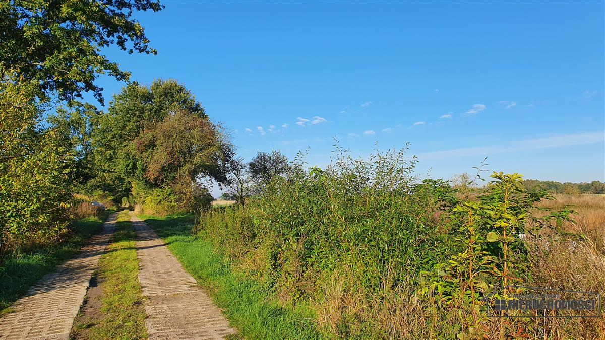 Sprzedaż Działka budowlana Tucze