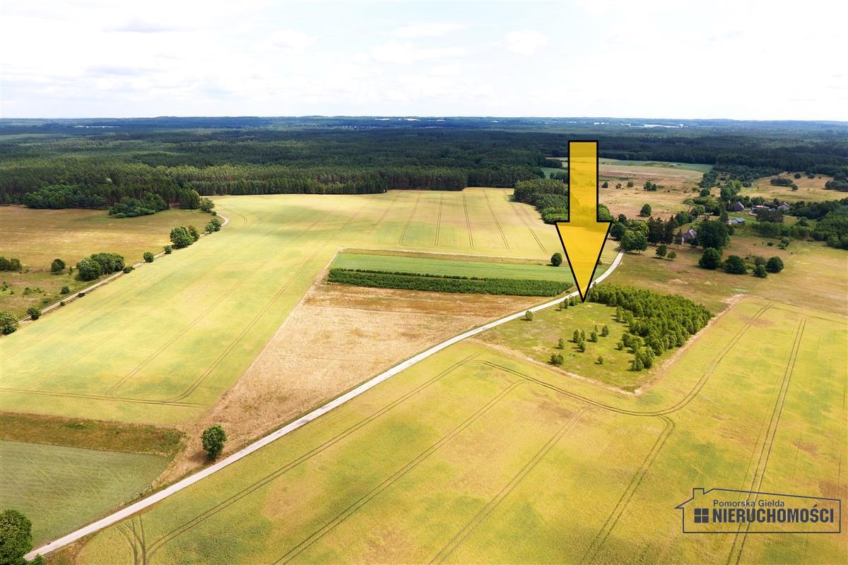 Sprzedaż Działka Kowalki