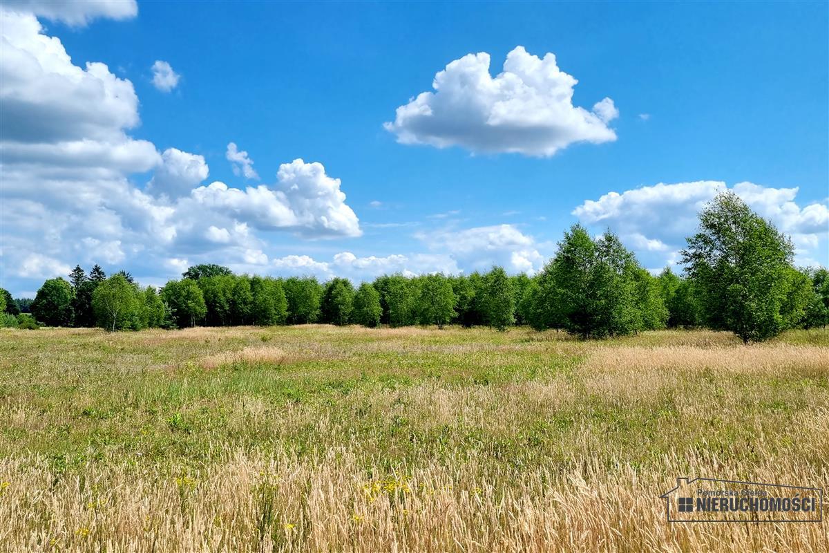 Sprzedaż Działka Kowalki