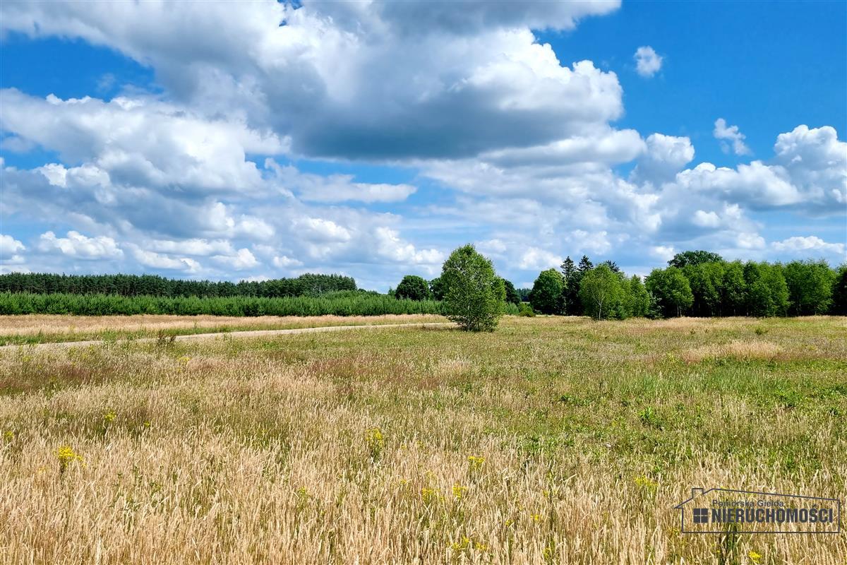 Sprzedaż Działka Kowalki