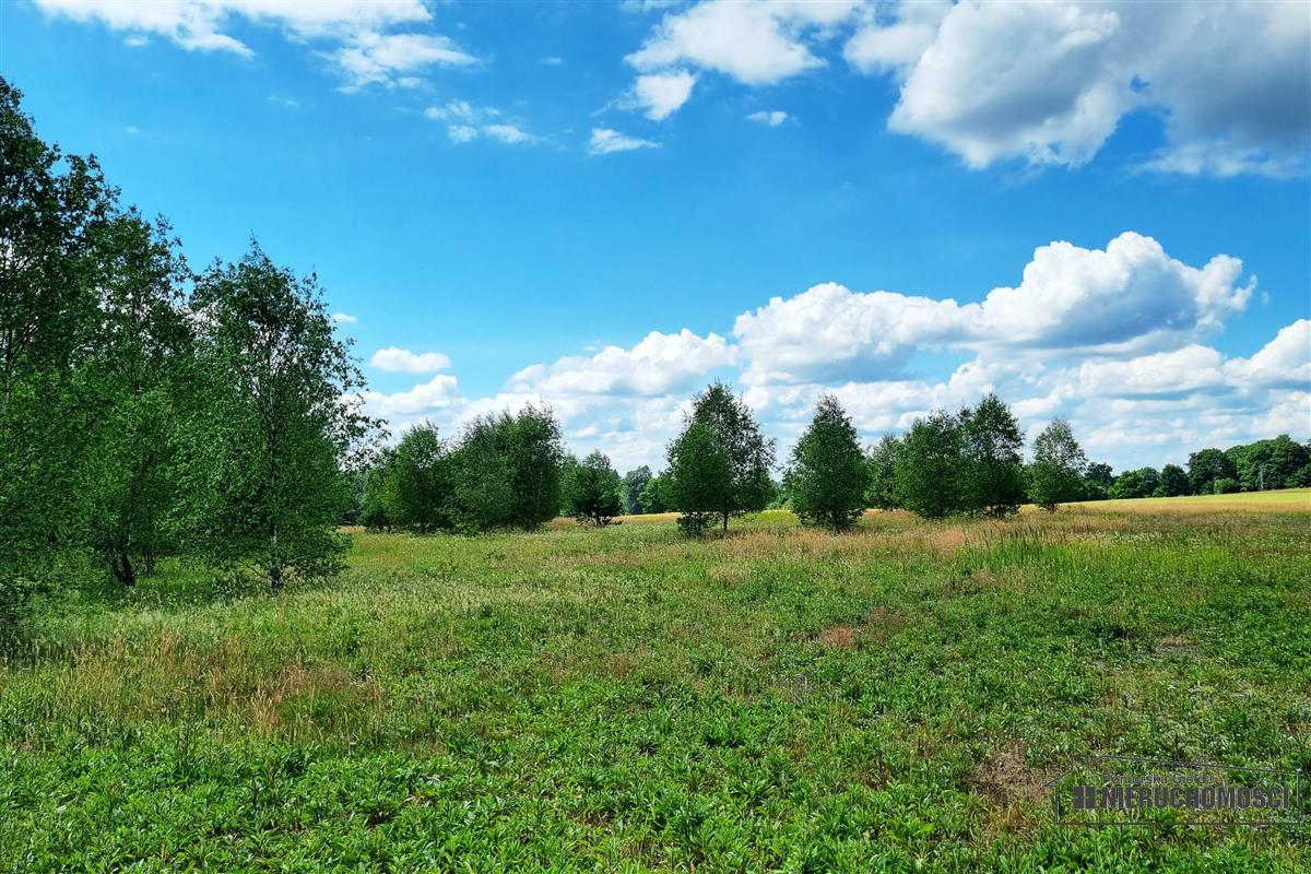 Sprzedaż Działka Kowalki
