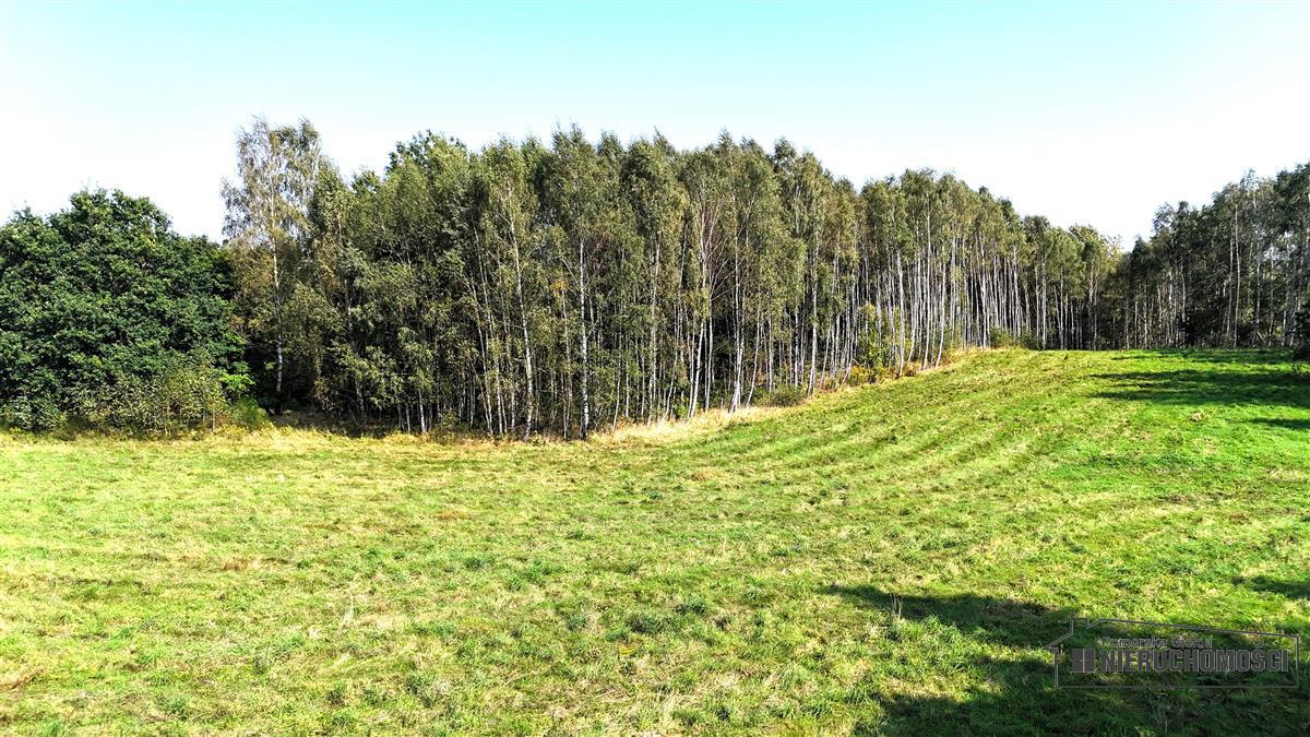 Sprzedaż Działka budowlana Głodowa