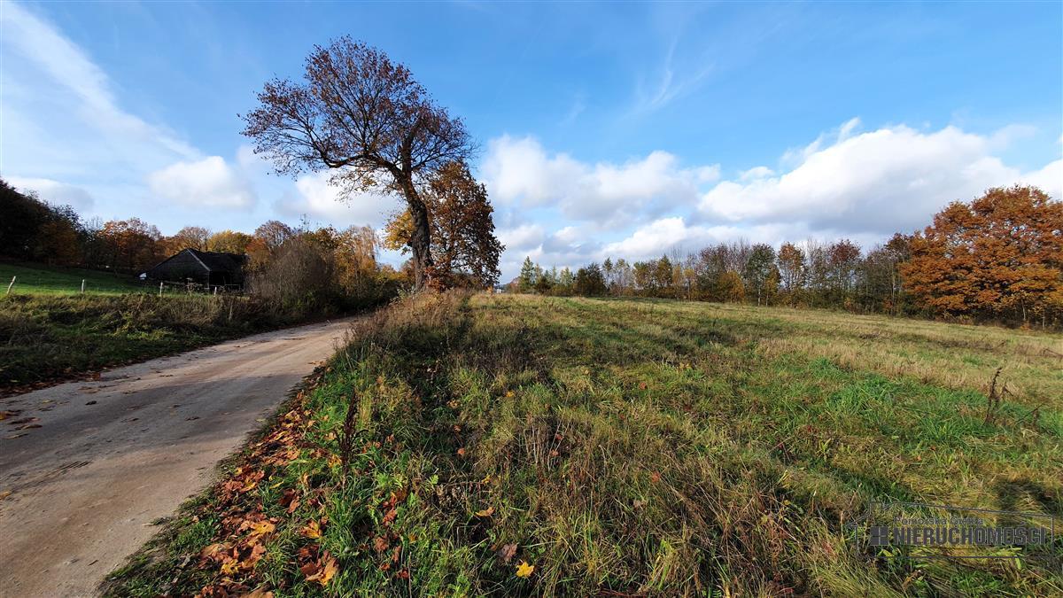 Sprzedaż Działka budowlana Głodowa