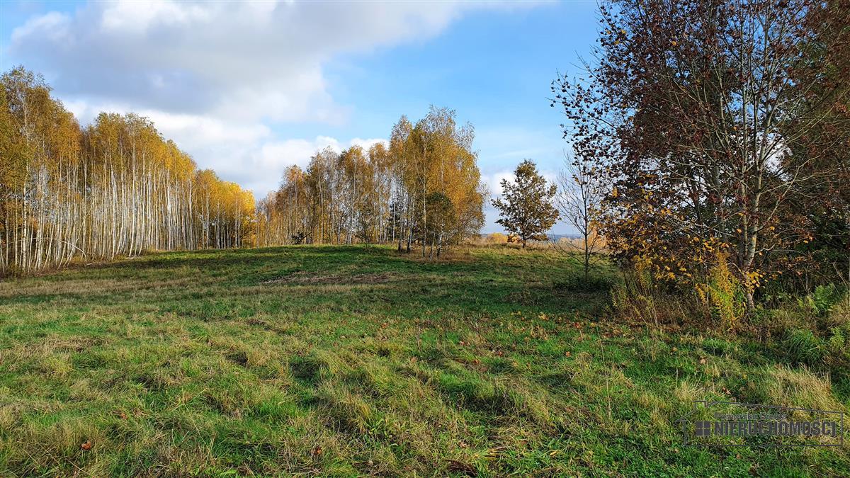 Sprzedaż Działka budowlana Głodowa
