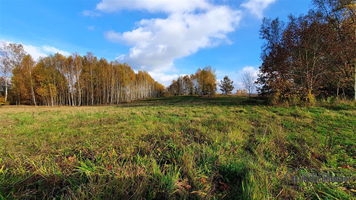 Sprzedaż Działka budowlana Głodowa