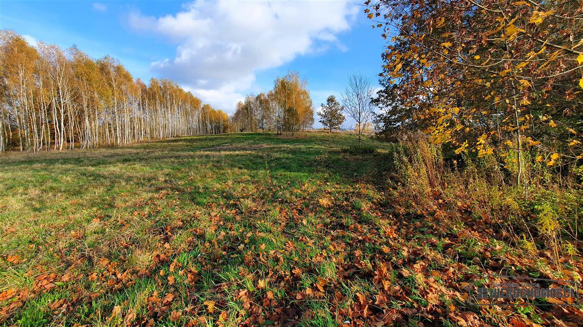 Sprzedaż Działka budowlana Głodowa