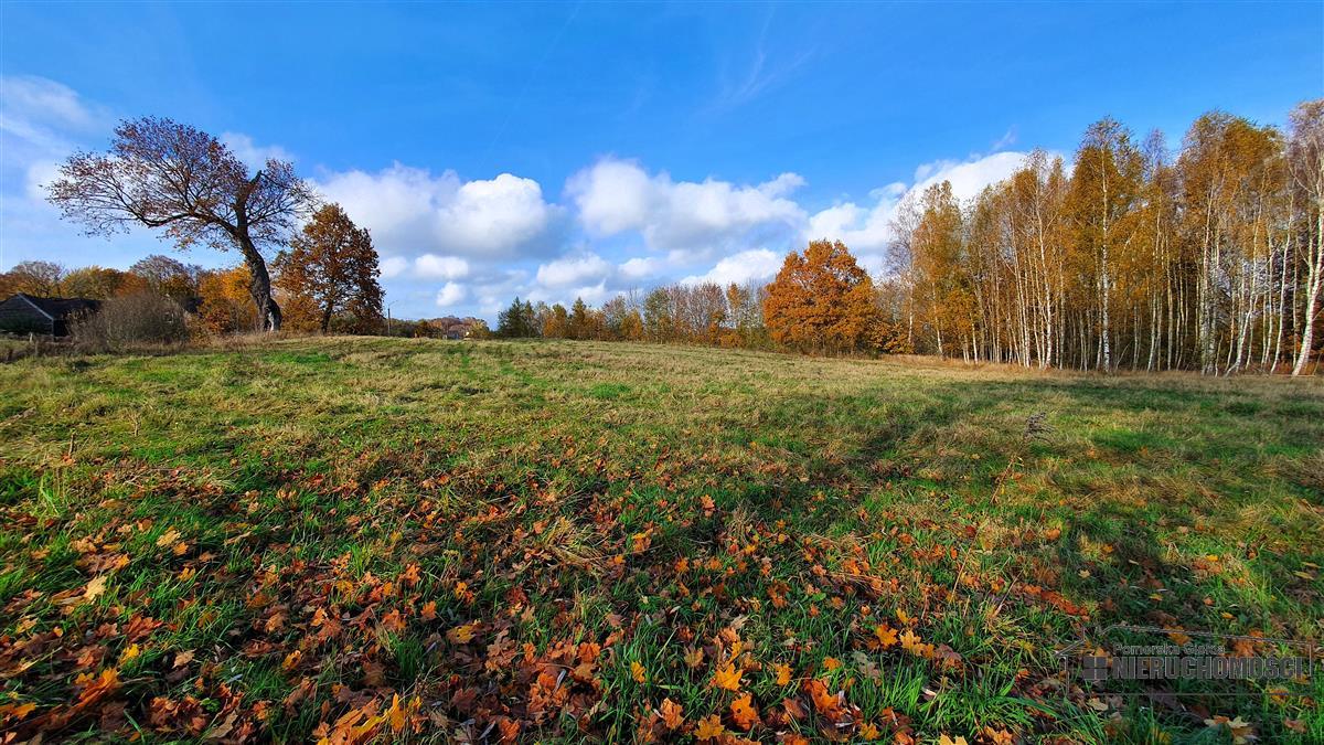 Sprzedaż Działka budowlana Głodowa