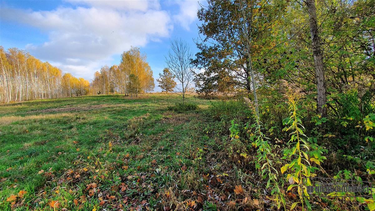 Sprzedaż Działka budowlana Głodowa