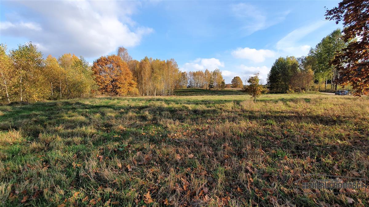 Sprzedaż Działka budowlana Głodowa