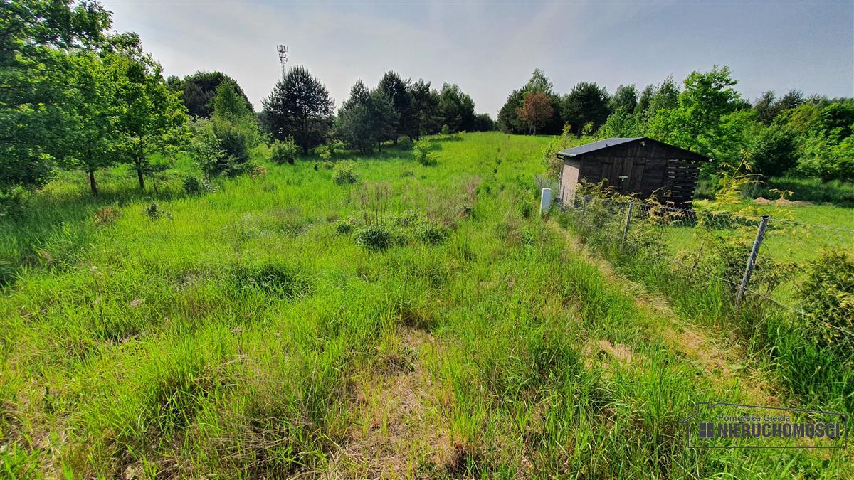 Sprzedaż Działka budowlana Dąbrowica