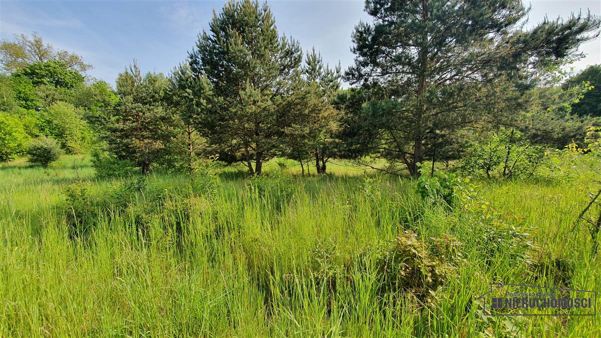 Sprzedaż Działka budowlana Dąbrowica