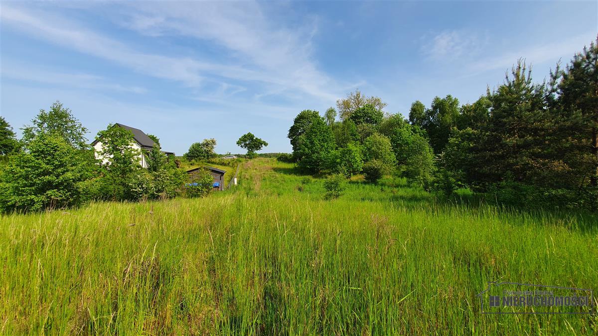 Sprzedaż Działka budowlana Dąbrowica