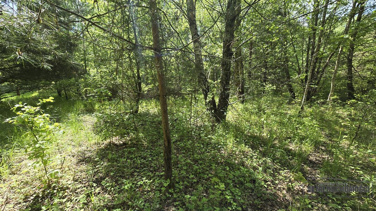Sprzedaż Działka rekreacyjna Silnowo