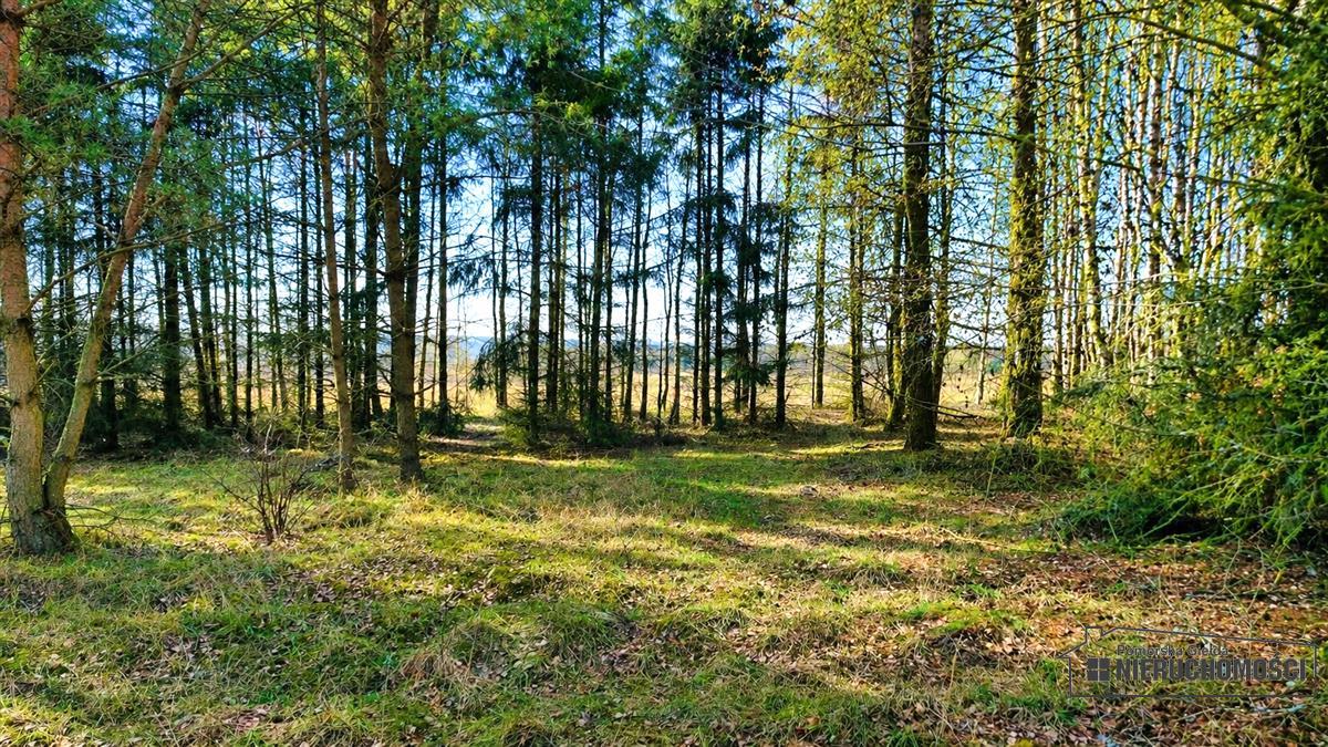 Sprzedaż Działka budowlana Gwda Mała