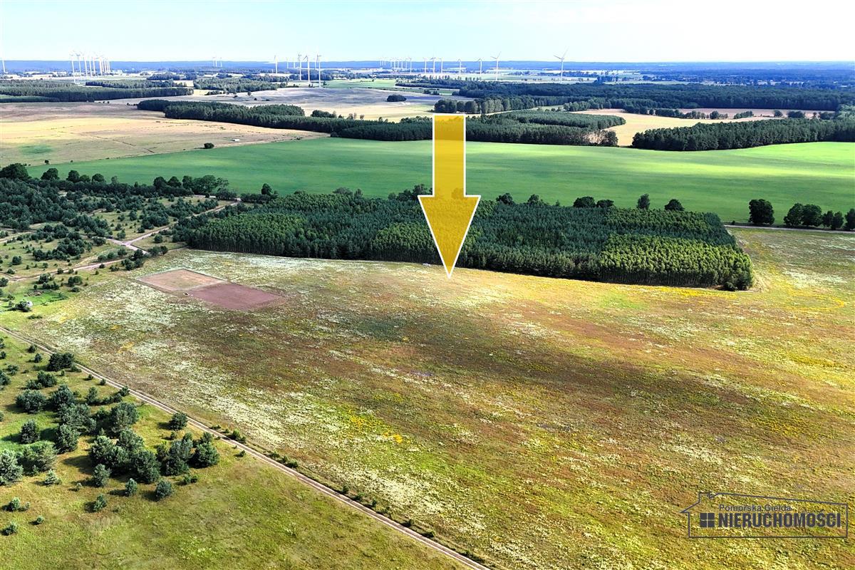 Sprzedaż Działka budowlana Dołgie