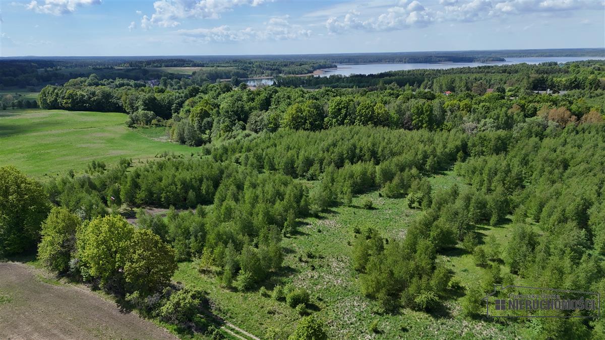 Sprzedaż Działka siedliskowa Silnowo