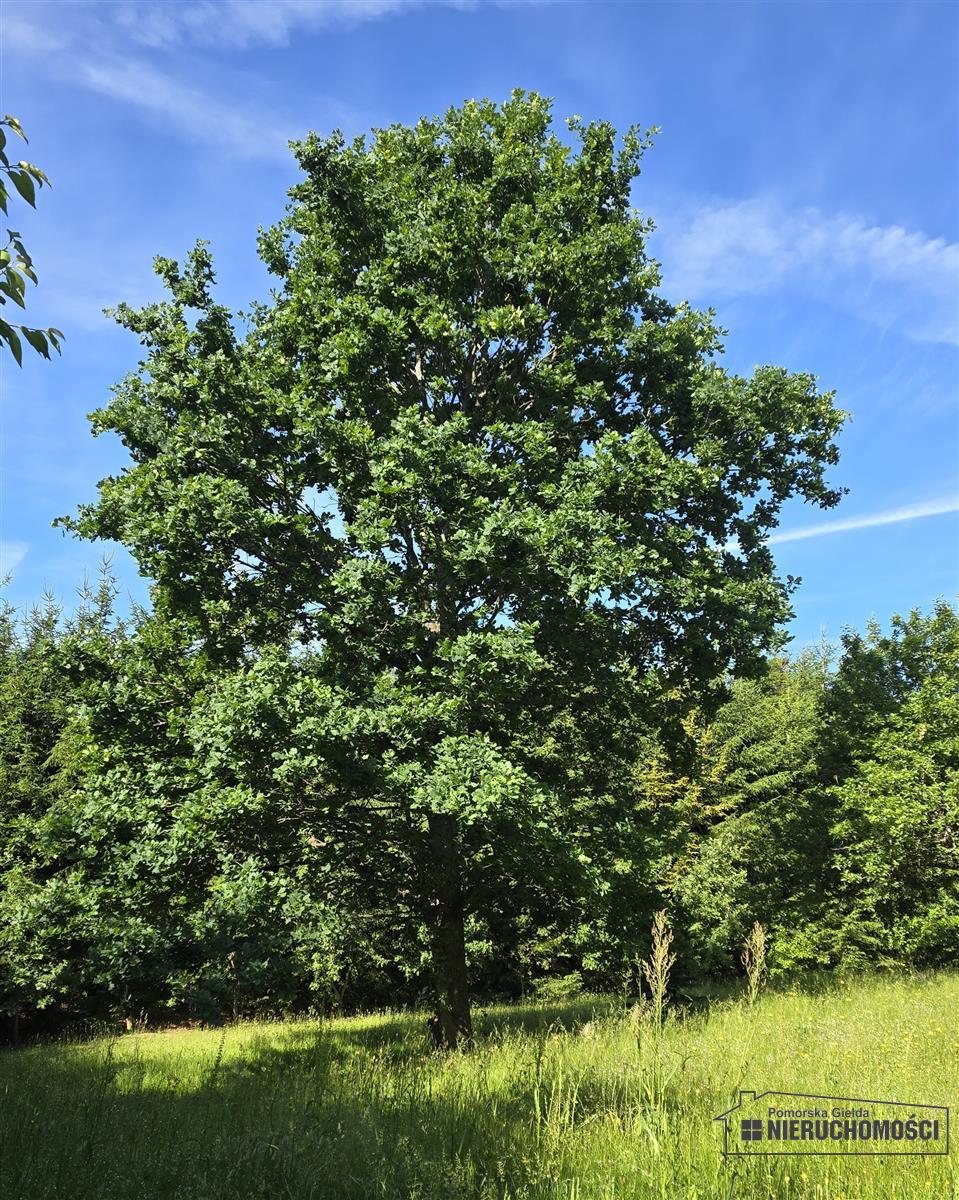 Sprzedaż Działka rekreacyjna Grabno