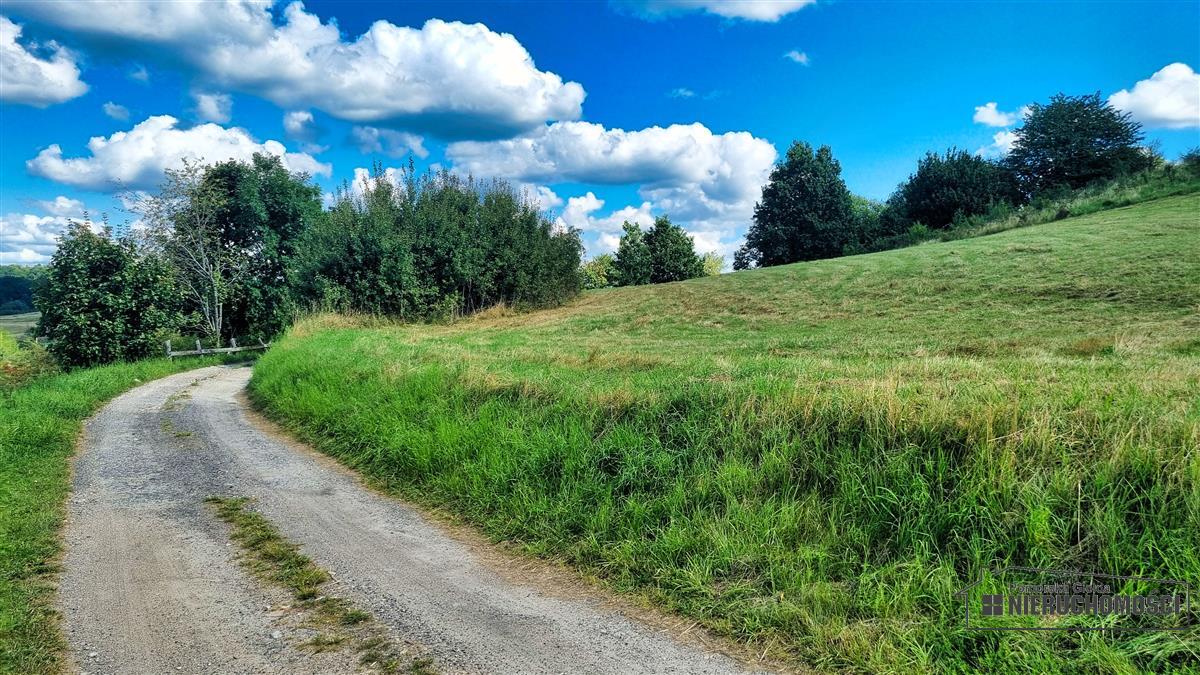 Sprzedaż Działka budowlana Sikory