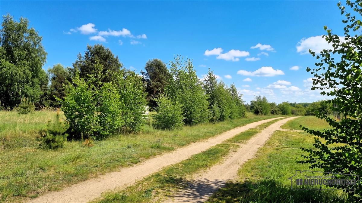 Sprzedaż Działka budowlana Dołgie