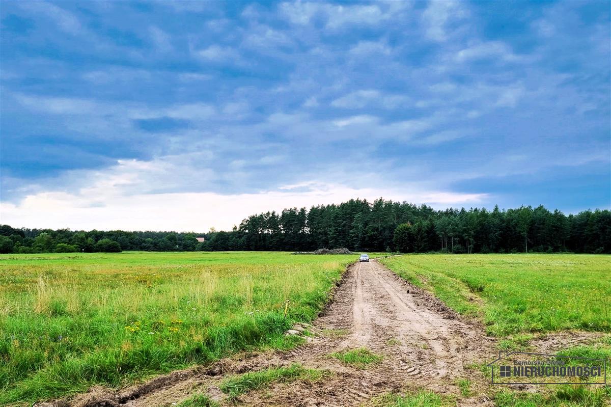 Sprzedaż Działka budowlana Krytno