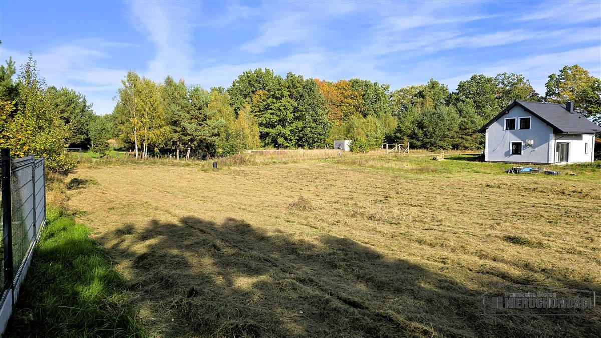 Sprzedaż Działka budowlana Dąbrowica