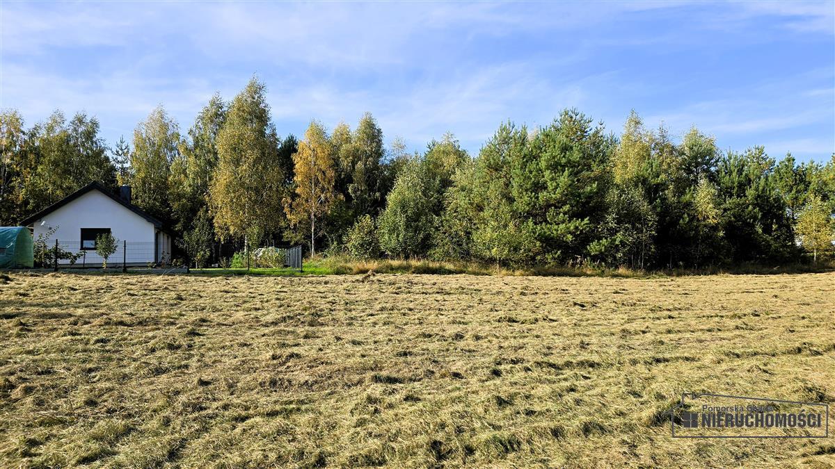 Sprzedaż Działka budowlana Dąbrowica