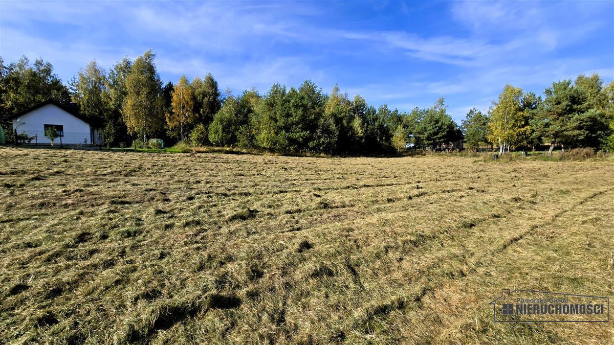 Sprzedaż Działka budowlana Dąbrowica