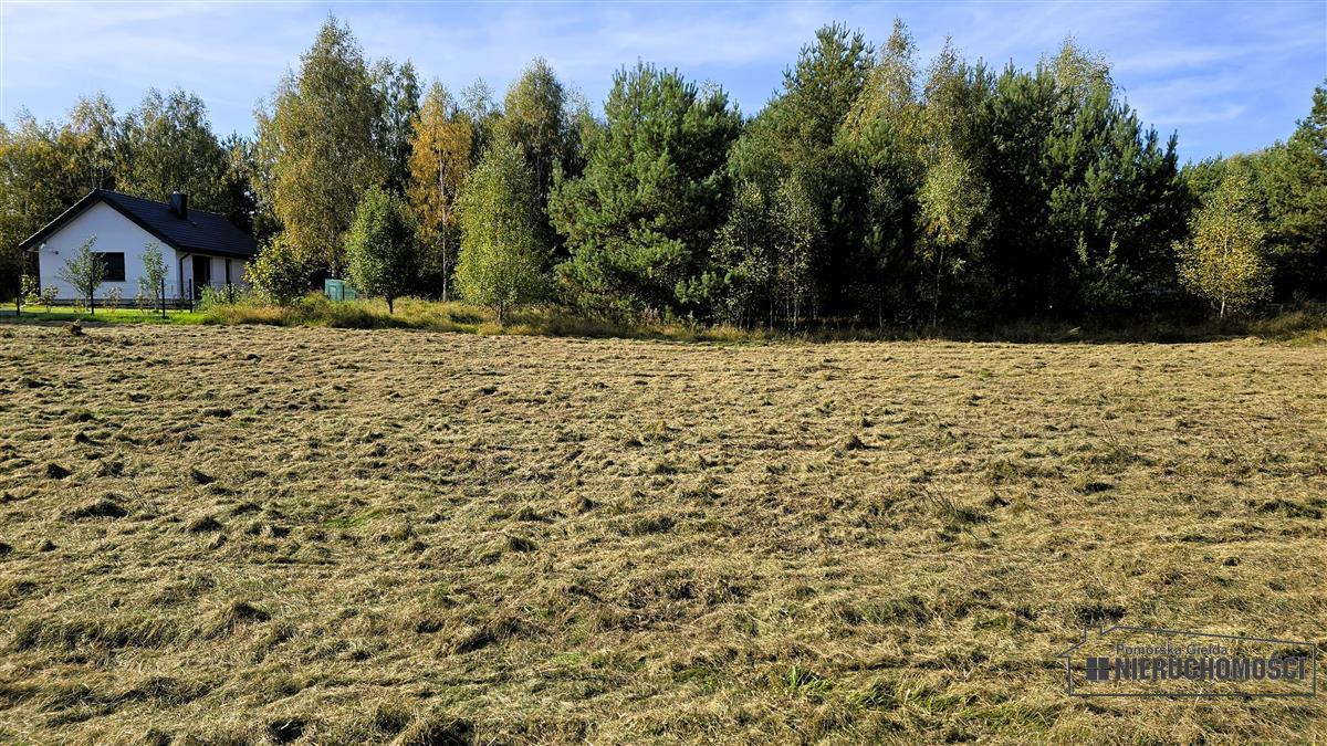 Sprzedaż Działka budowlana Dąbrowica