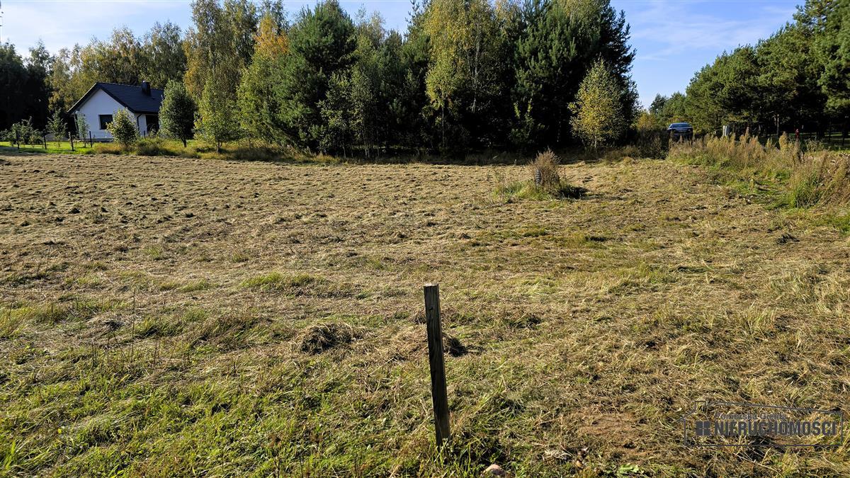 Sprzedaż Działka budowlana Dąbrowica