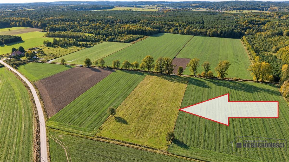 Sprzedaż Działka budowlana Krosino