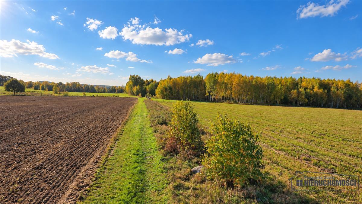 Sprzedaż Działka budowlana Piława