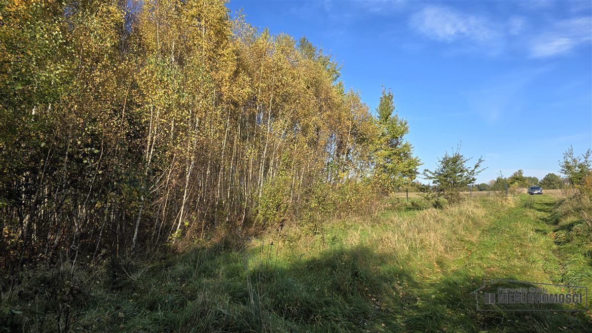 Sprzedaż Działka budowlana Piława