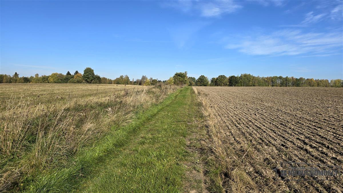 Sprzedaż Działka budowlana Piława