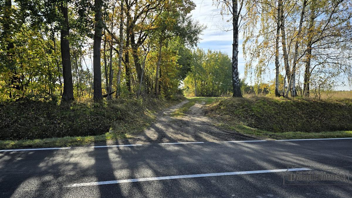 Sprzedaż Działka budowlana Piława
